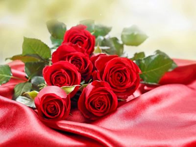 Ý nghĩa của hoa hồng